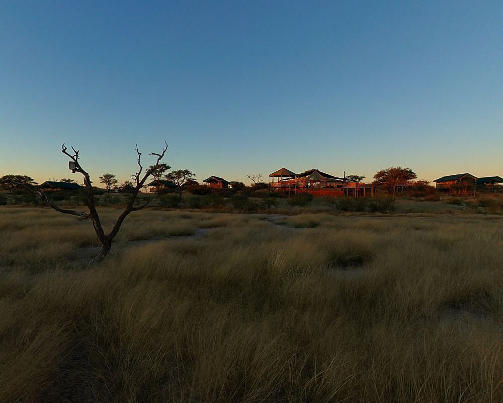 Suricate Tented Lodge Intu Afrika Kalahari Game Reserve Exterior photo